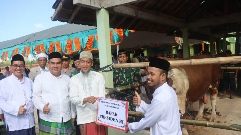 Blora Menerima Sapi Kurban 1 Ton Dari Presiden Jokowi