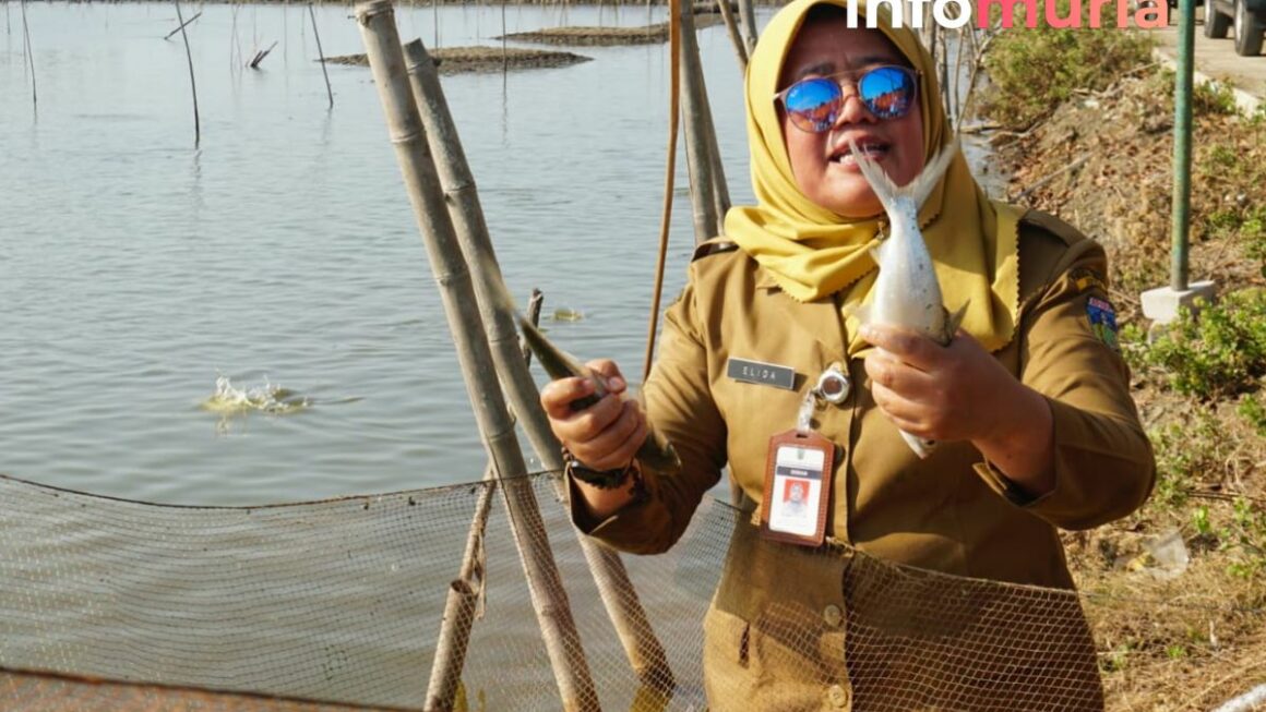 Bandeng Kartini dan Ikan Bakar Jadi Pusat Perhatian dalam Rekor Muri Jepara