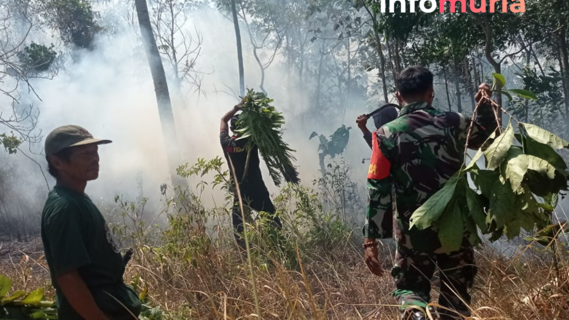 Tim Gabungan BPBD dan Damkar Berhasil Padamkan Kebakaran Lahan di Jepara
