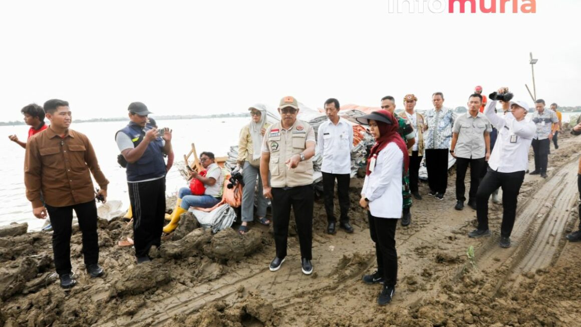 Nana Sudajana Tinjau Langkah-Langkah Pemulihan Pasca Banjir Demak
